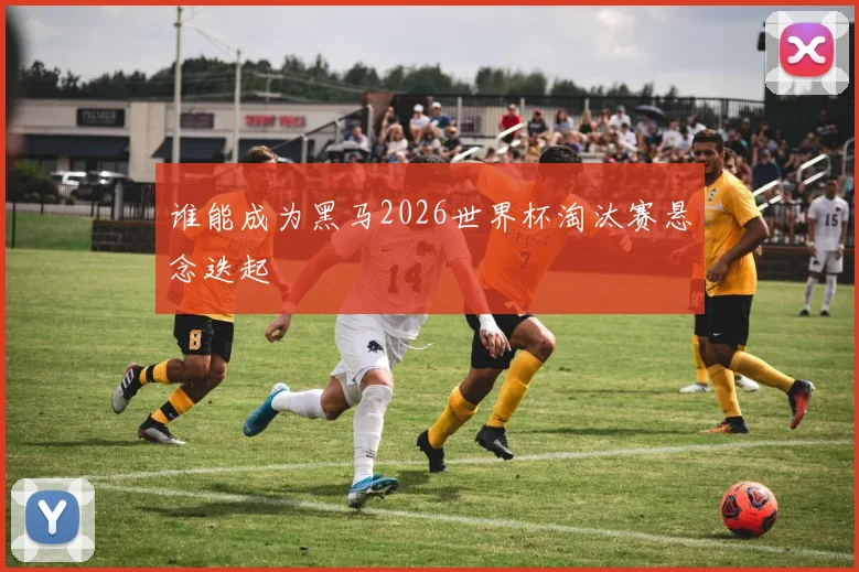 谁能成为黑马2026世界杯淘汰赛悬念迭起