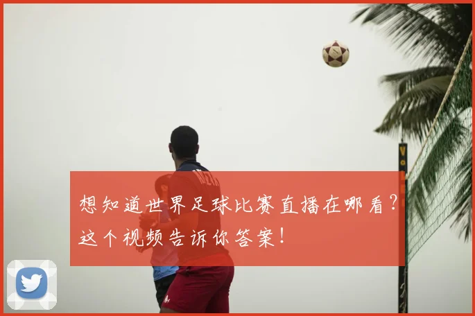 想知道世界足球比赛直播在哪看？这个视频告诉你答案！