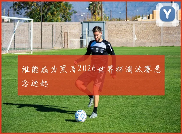谁能成为黑马2026世界杯淘汰赛悬念迭起